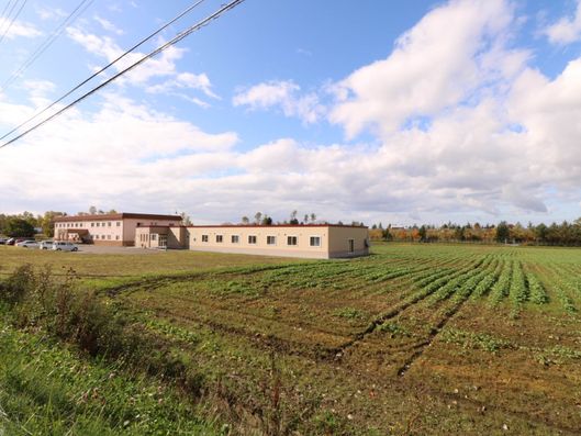 シニアリスペクト遠景